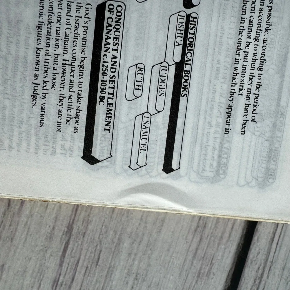 Jerusalem Holy Bible Small Natural Olive Wood Bethlehem Gilded Edges TBN Red